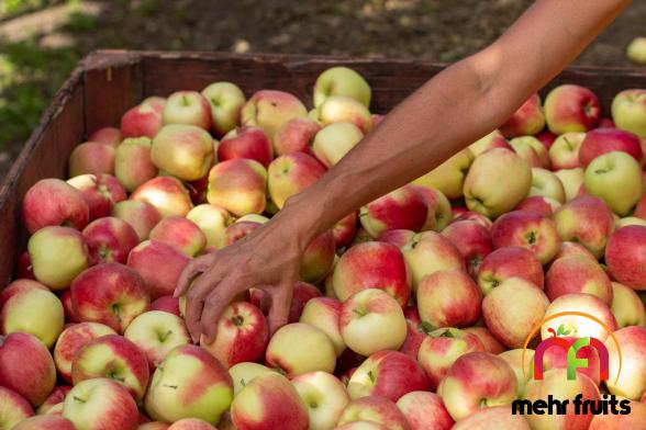 Superb apple fruit global market in 2021