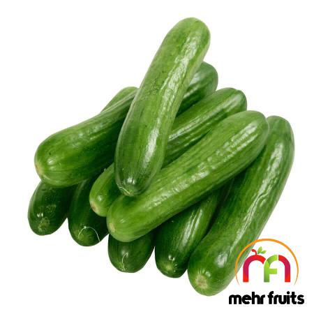 High grade cucumber Wholesale Supplier