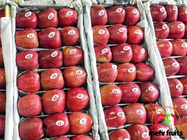 First rate apple fruit Wholesale price