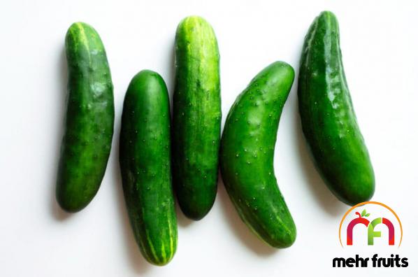 Bulk selling of World class cucumber