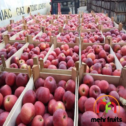 Bulk selling of apple fruit