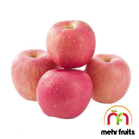 Latest apple fruit bulk price