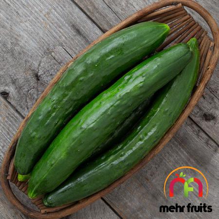 Superior cucumber Exporting Countries