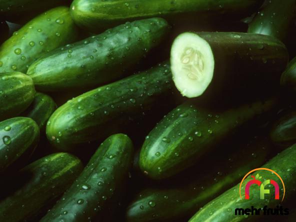 What are the nutritional facts of a cucumber?