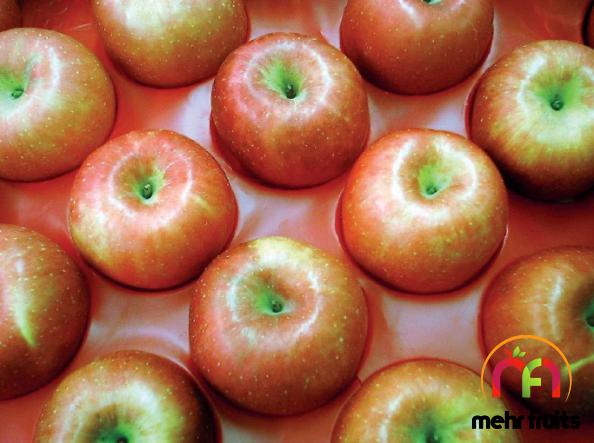 Exporting Countries of Premium apple fruit