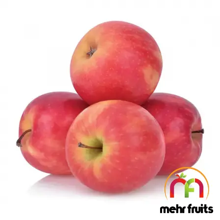 Apple fruit suppliers in bulk