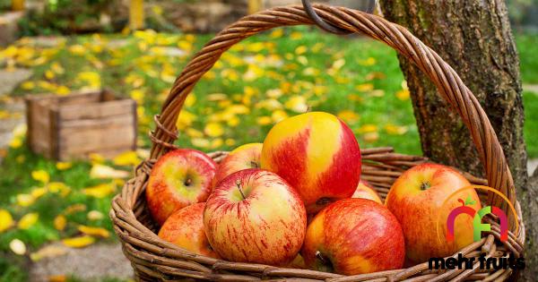 What is the History of Apple fruit?