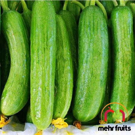 Bulk price of First rate cucumber