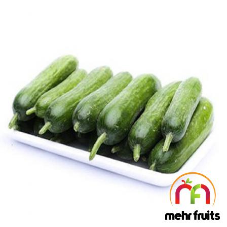 First rate cucumber Wholesale price