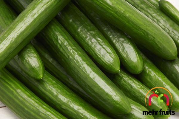 Superb cucumber to export in 2021