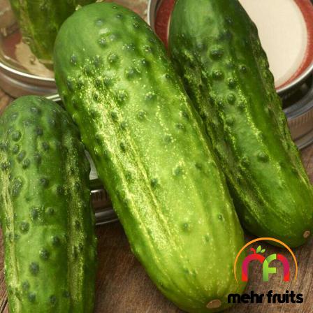 Bulk selling of Top notch cucumber in 2021