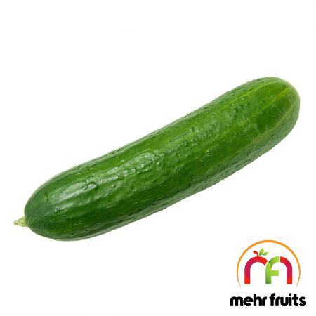 Bulk supplying of High grade cucumber