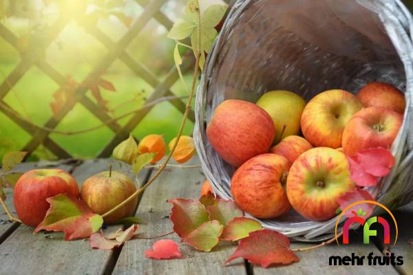 Exporting apple fruit in bulk