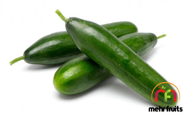 First rate cucumber Distribution centers