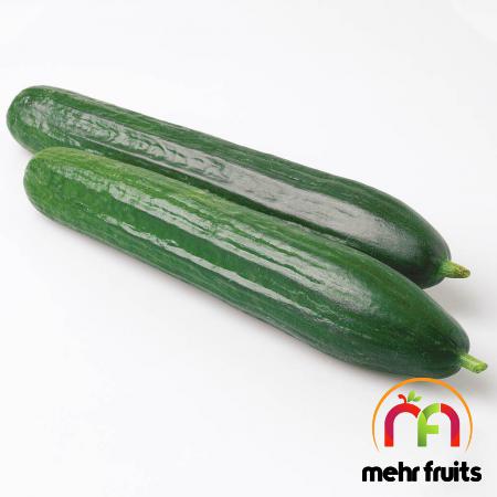 High quality cucumber sale price