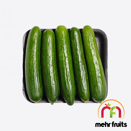 Latest price of high quality cucumber