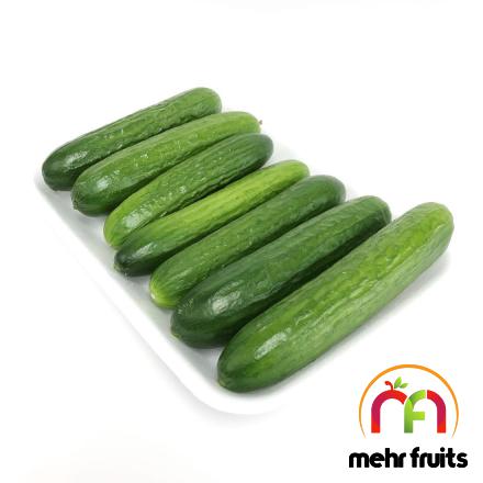 How Can You Tell If A  Cucumbers Is Mini ?