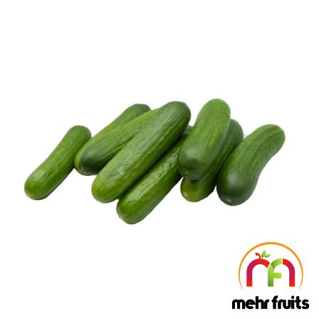 Buying Mini Cucumbers in Bulk