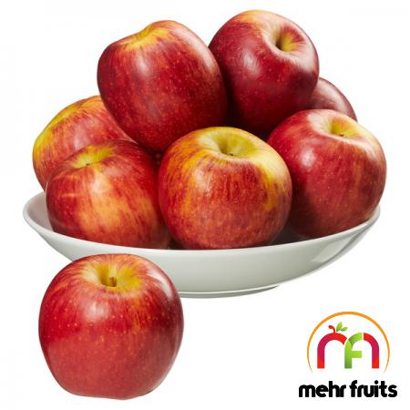 Apple fruit suppliers in bulk