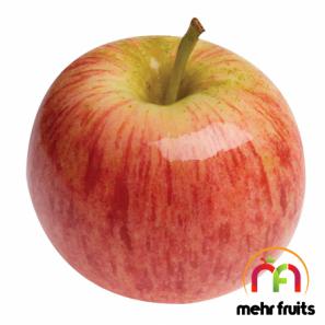 The Main Centers of the Best Apple Fruit