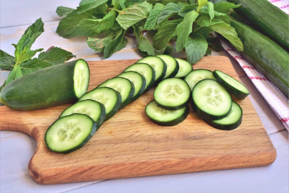 Cucumber Varieties to Export in Bulk