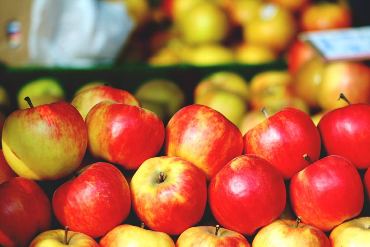  Organic Red Apples Price List in 2023 