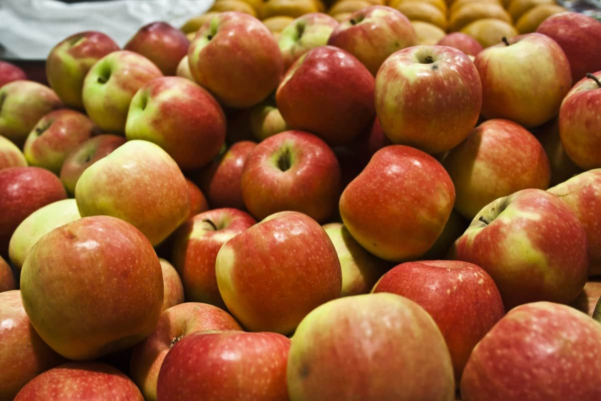  Organic Red Apples Price List in 2023 