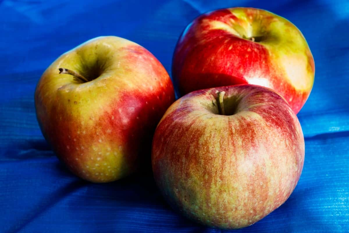  Organic Red Apples Price List in 2023 