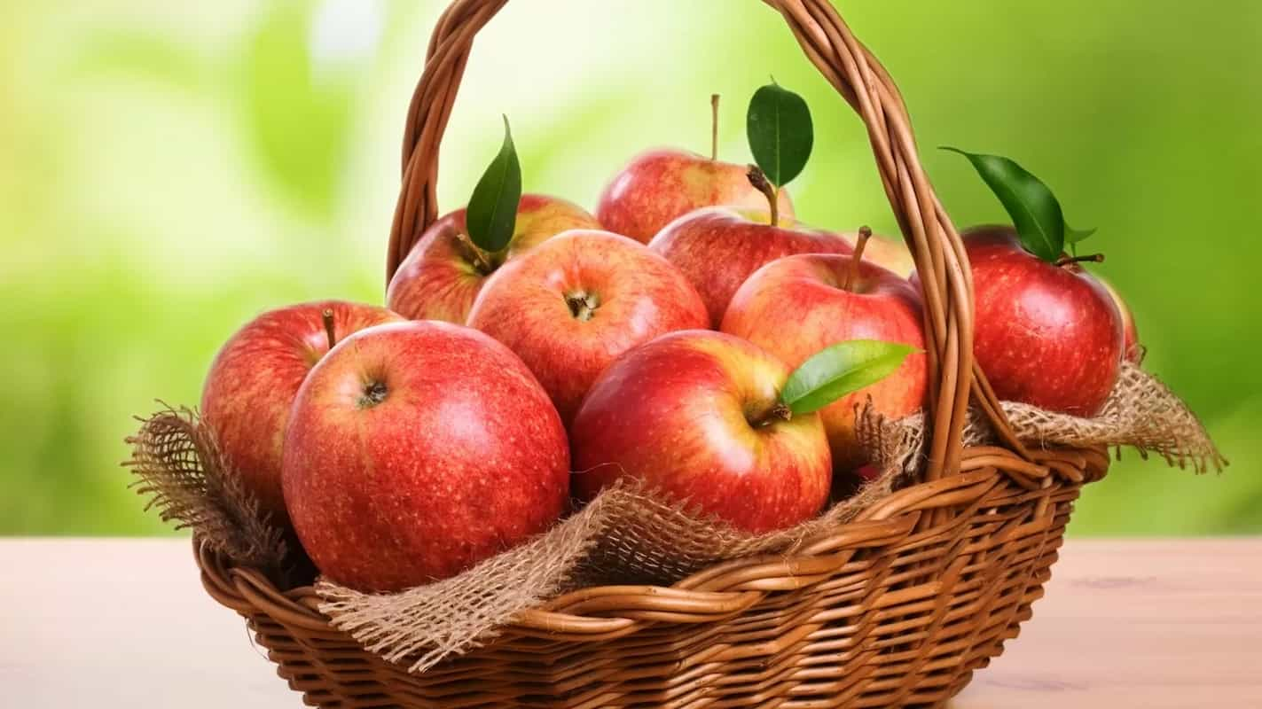  Winesap Apple Taste price 