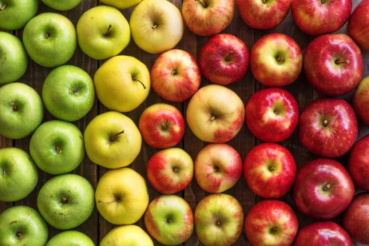  Price and purchase of Organic Granny Smith Apples + Cheap sale 