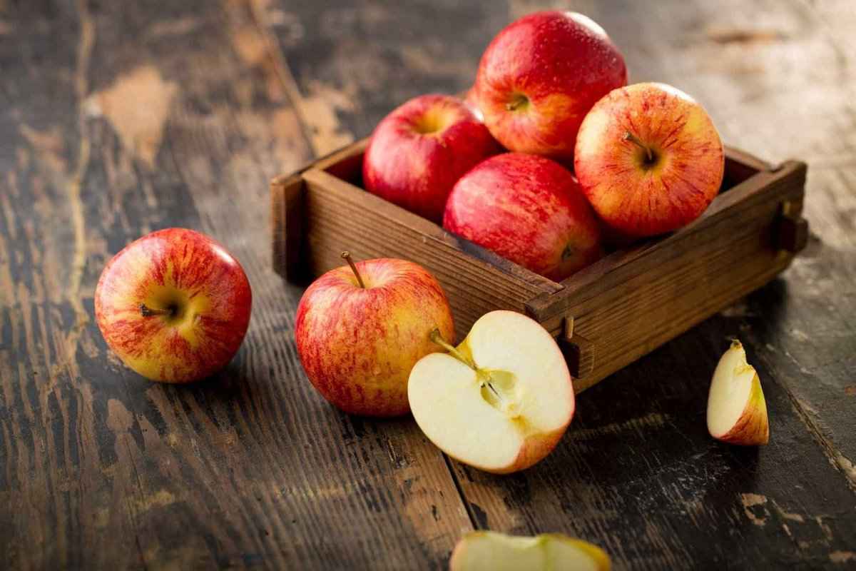  Price and purchase of Organic Granny Smith Apples + Cheap sale 