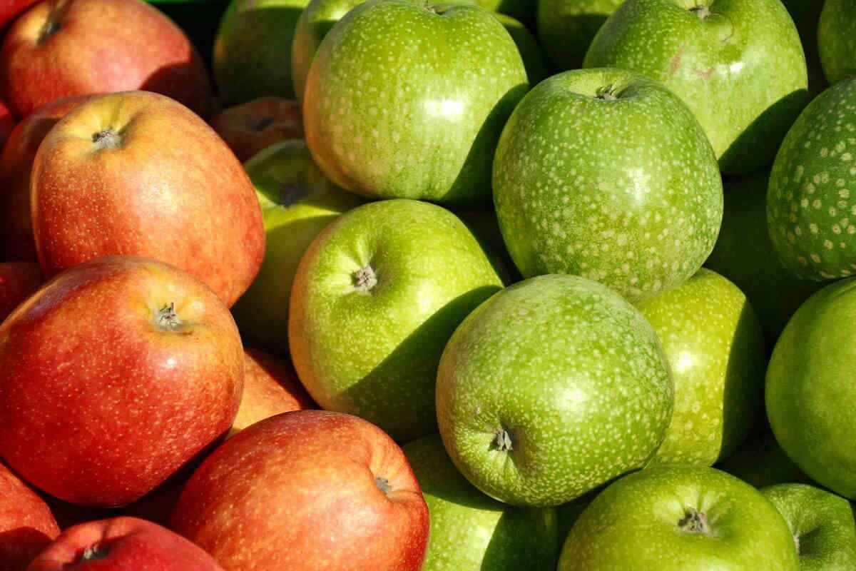  Price and purchase of Organic Granny Smith Apples + Cheap sale 