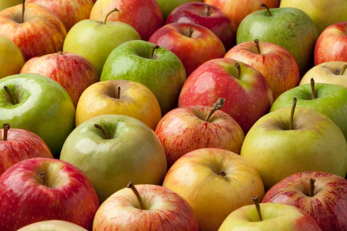  Price and purchase of Organic Granny Smith Apples + Cheap sale 