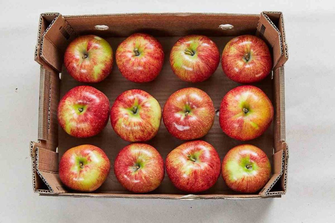 Purchase and price of Ribston pippin apple types