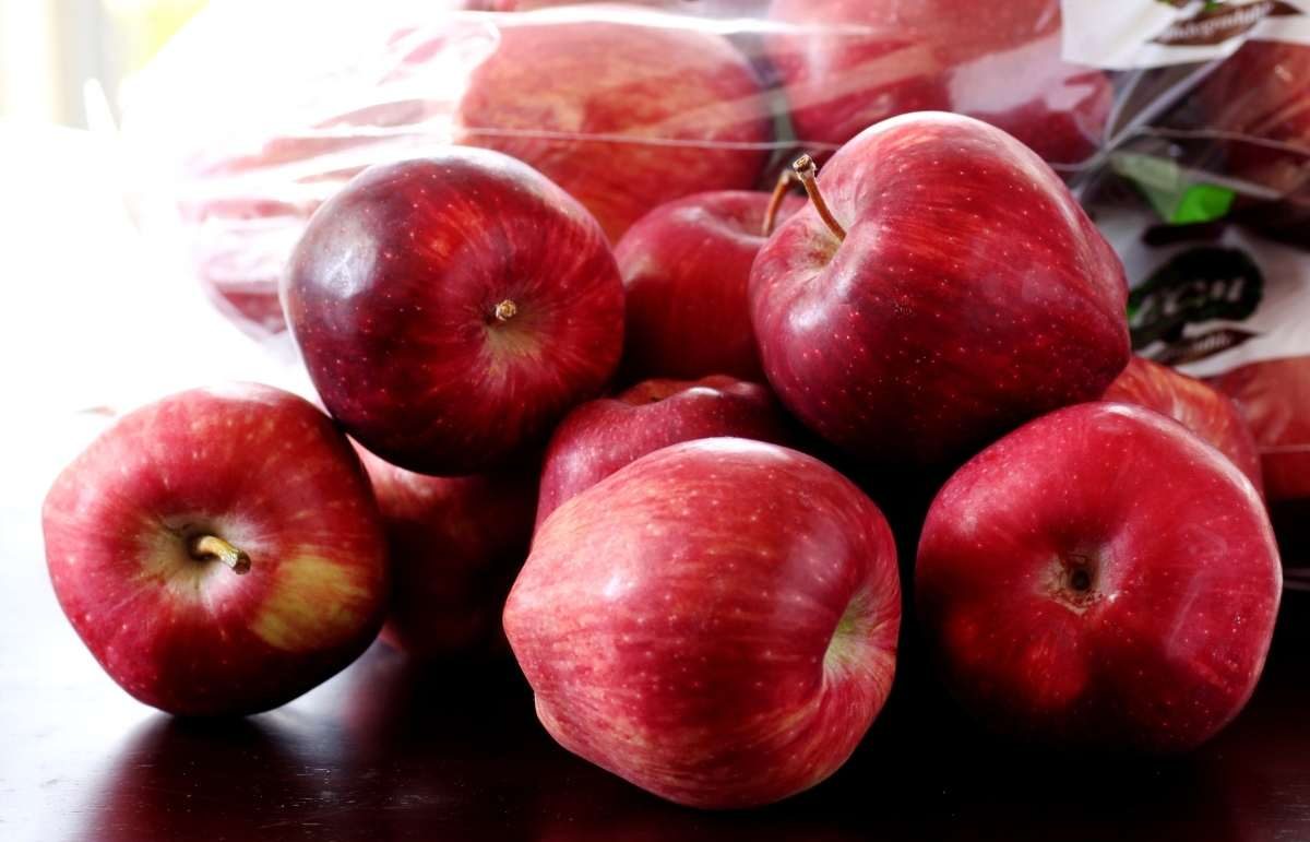  Purchase and price of Ribston pippin apple types 