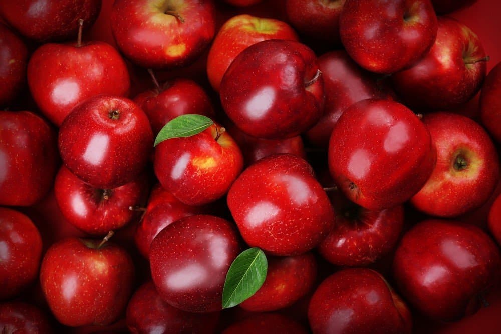  Buy Red Apple | Selling All Types of Red Apple At a Reasonable Price 