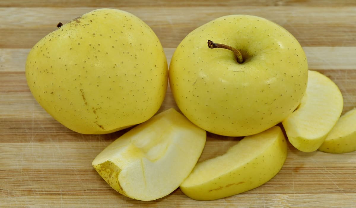  Buy ginger gold apple types + price 