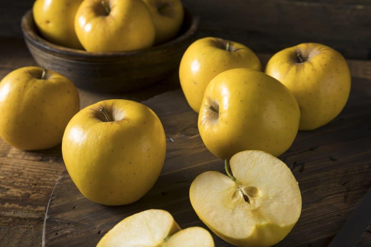  Buy Organic Golden Delicious Apples at an eanchorceptional price 