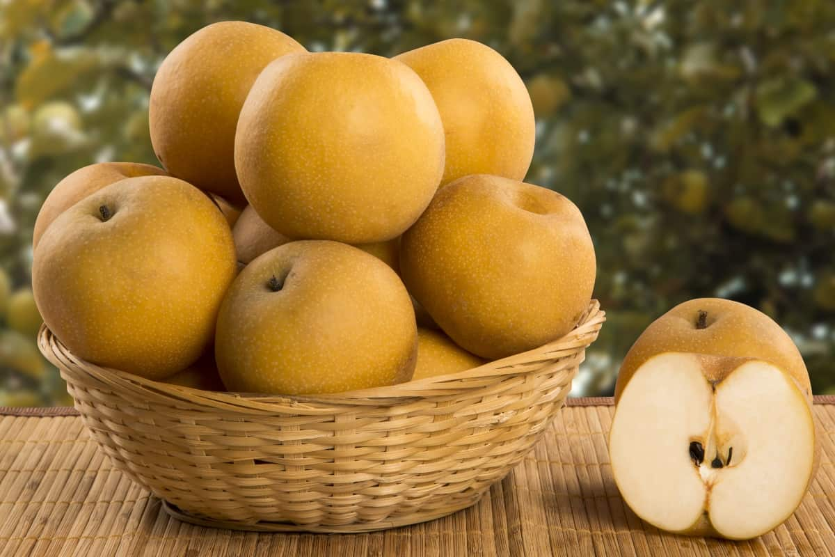  Buy Organic Golden Delicious Apples at an eanchorceptional price 