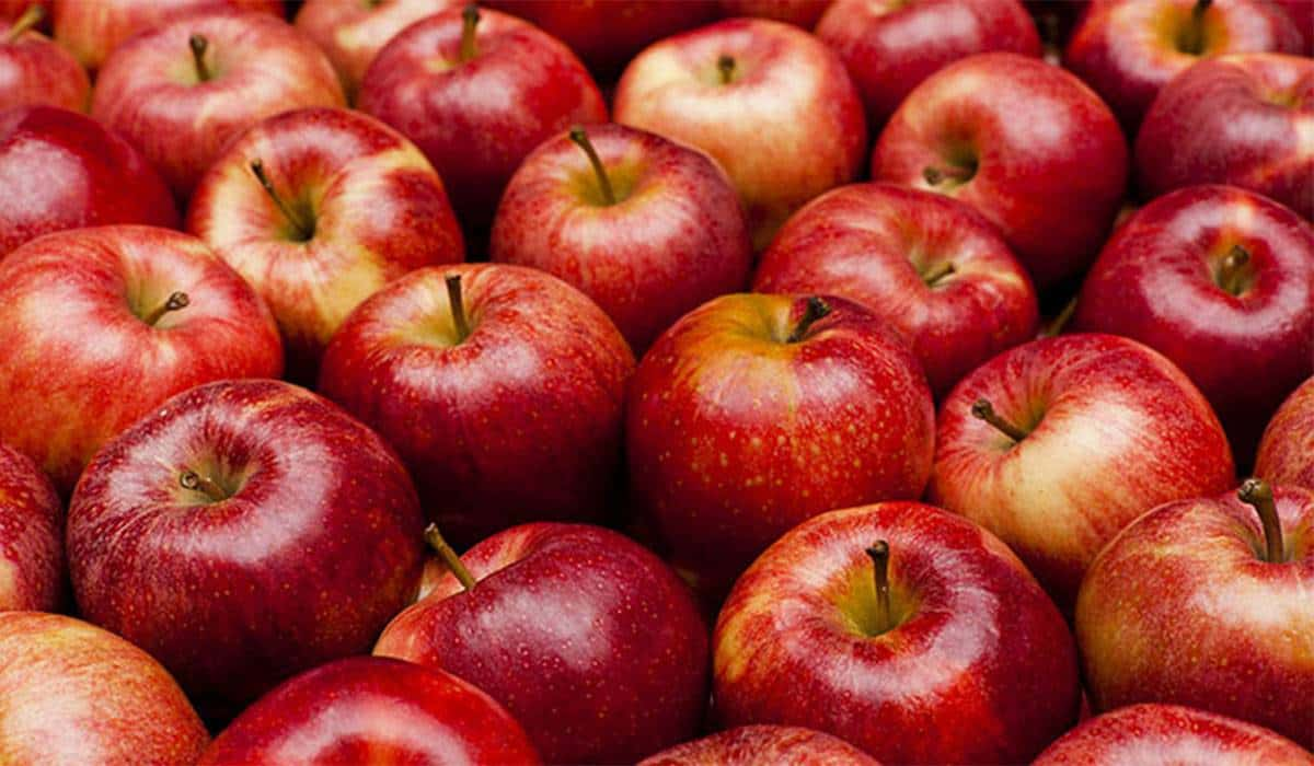  Buy Gala Small Apple Types + Price 