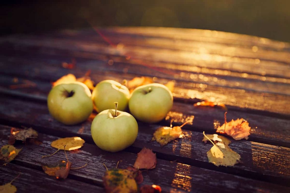 Buy The Latest Types of Yellow Honeycrisp Apple