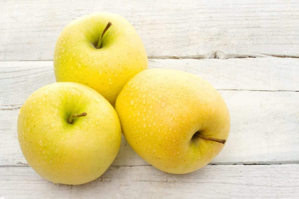  Buy The Latest Types of Yellow Honeycrisp Apple 