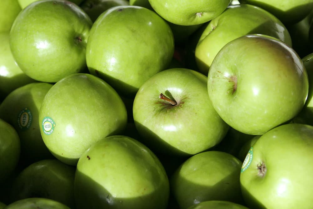  Buy granny smith apple tree + Best Price 