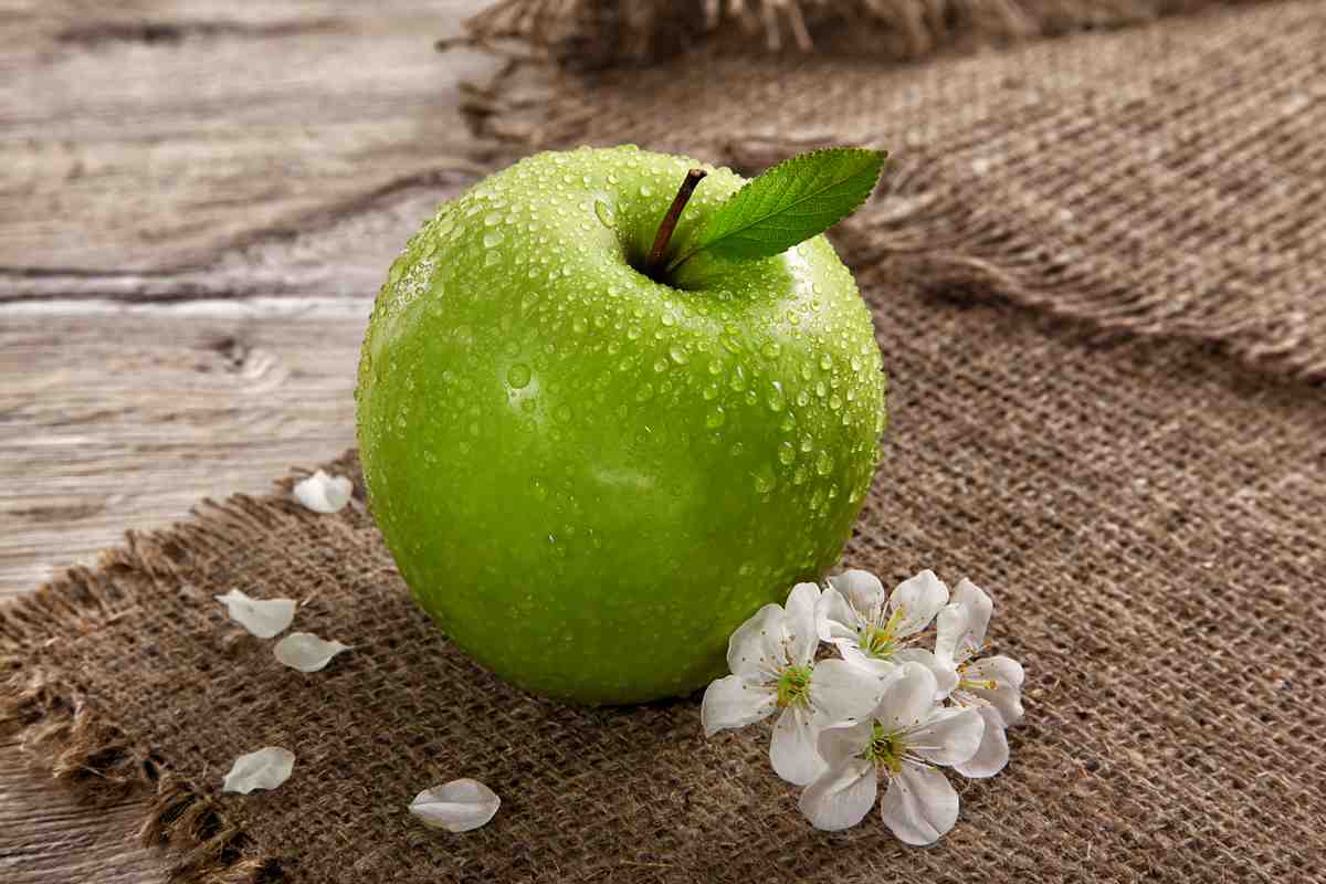  Buy Fresh Organic Apple Fruit at an eanchorceptional price 