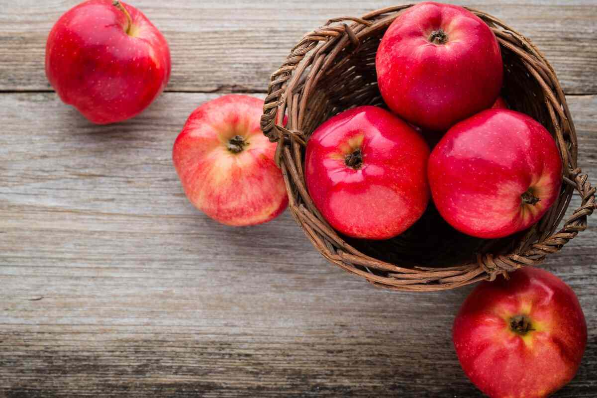  Buy Fresh Organic Apple Fruit at an eanchorceptional price 