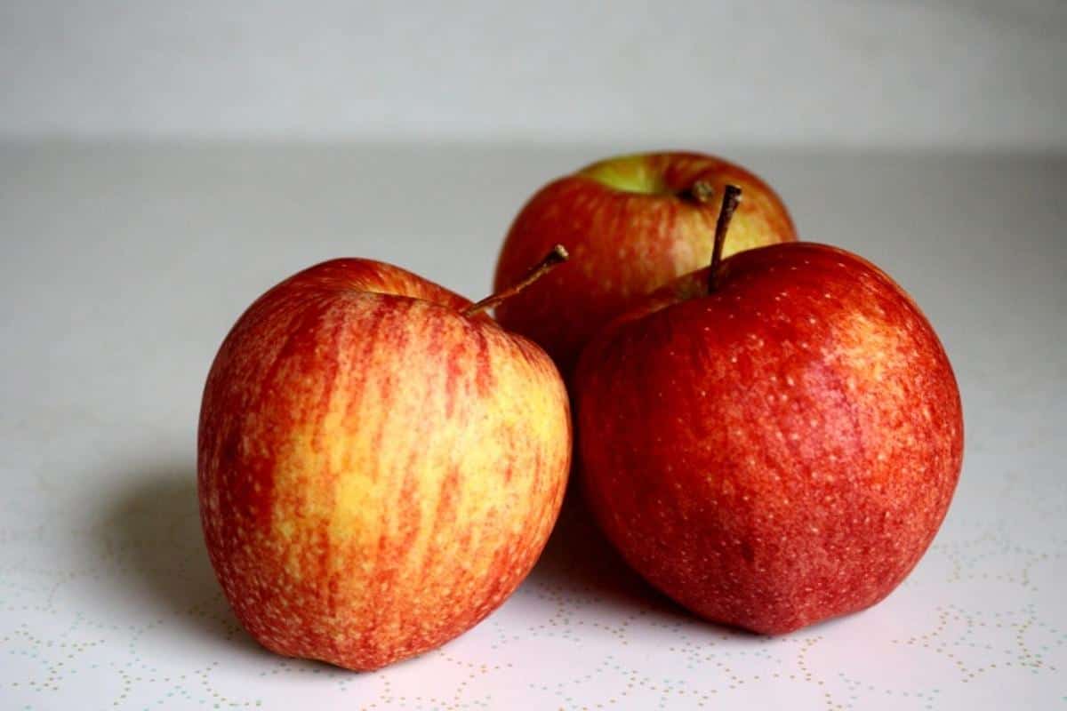  What Is Gala Apple and Its Different Types 