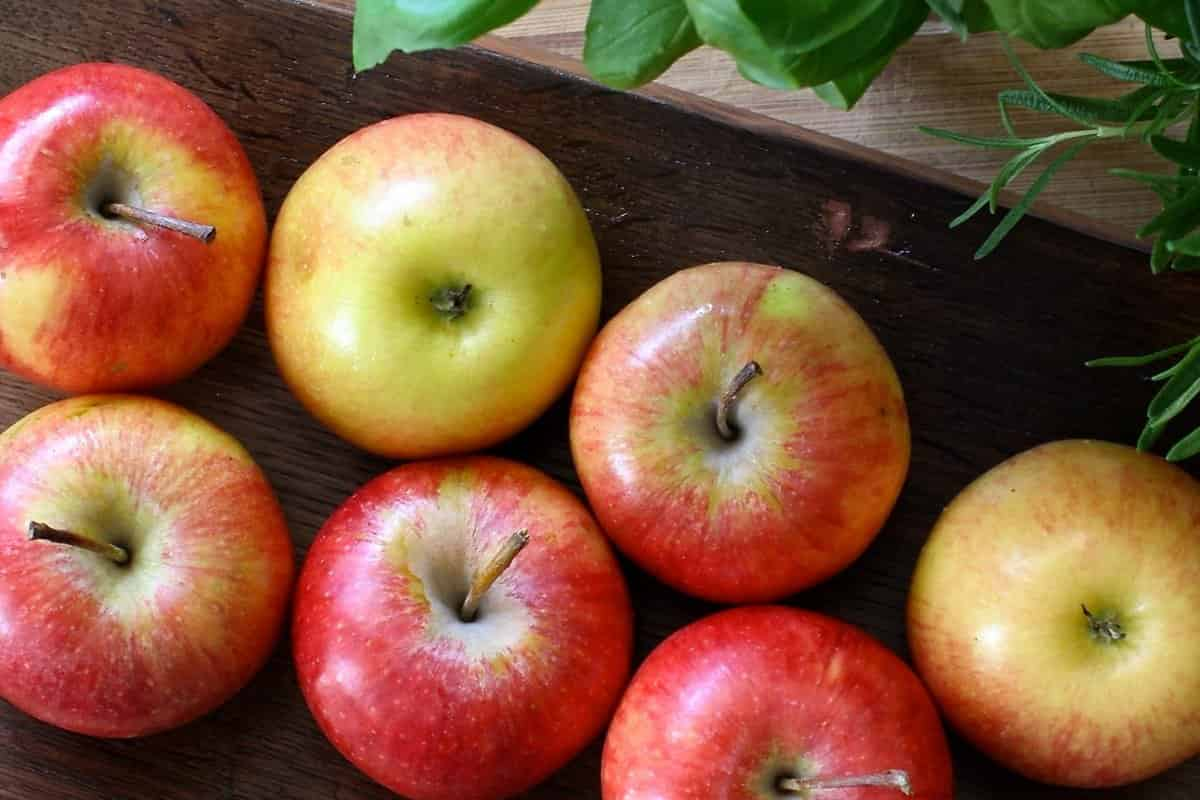  Apple fruit cultivation calories beyond gold standard 