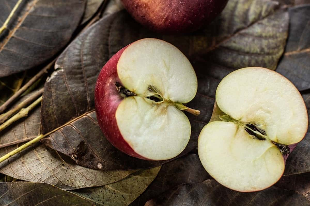  seeded apple fruit where to buy 