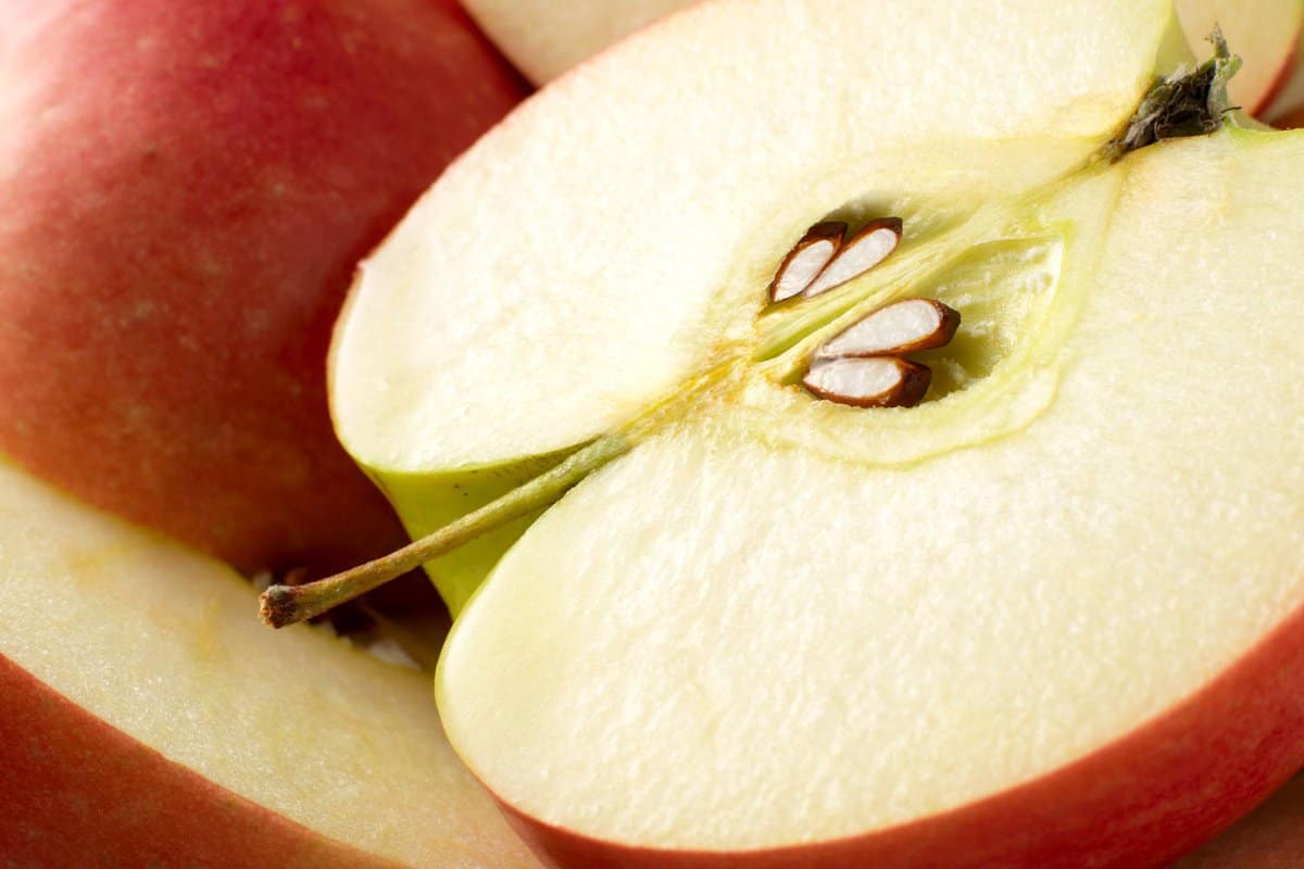  seeded apple fruit where to buy 