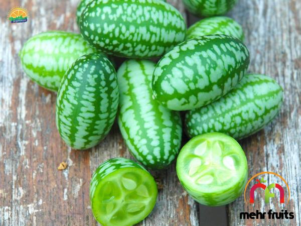 Watermelon cucumber price + the best purchase price of watermelon cucumber with the latest sale price list